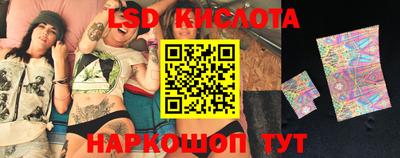 крисы Берёзовский