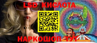 крисы Берёзовский