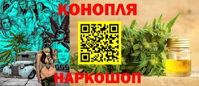 крисы Берёзовский