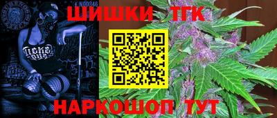 твердый Бийск