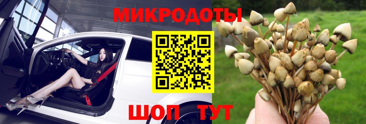 Звенигород  Галлюциногенные грибы GOLDEN TEACHER  дарнет шоп  Вход с VPN 